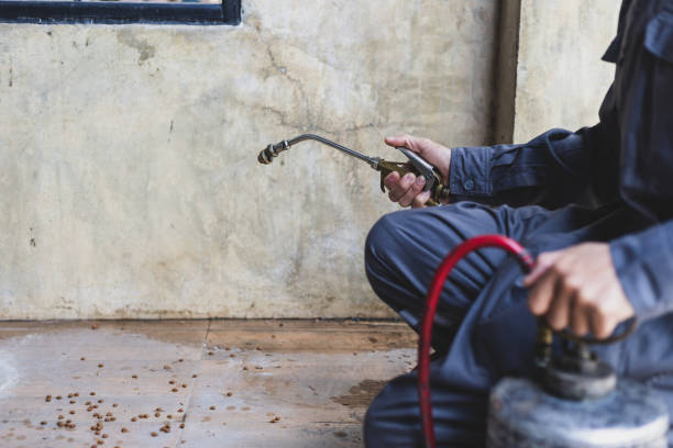 Best Affordable Pest Control Services  in Renova, MS